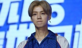 娱乐圈吃瓜情报站鹿晗,娱乐圈风云再起，揭秘明星背后的故事