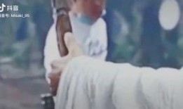 七七和铲屎官娱乐吃瓜君,吃瓜君带你揭秘娱乐圈幕后故事