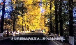 娱乐吃瓜君的作品,揭秘娱乐圈那些不为人知的幕后故事