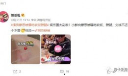 娱乐吃瓜君艺人黑榜,揭秘“娱乐吃瓜君”艺人黑榜背后的真相