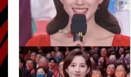 娱乐明星吃瓜爆料小说