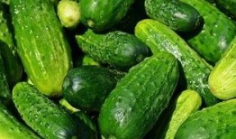 娱乐吃瓜教,吃瓜群众教你如何成为行走的八卦达人