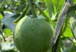 娱乐瓜吃瓜最新,揭秘明星背后的秘密与真相