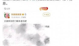 娱乐吃瓜账号名字,跟随吃瓜账号探寻明星幕后故事