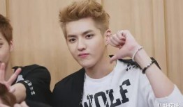 吃瓜娱乐圈任豪,娱乐圈的瓜田新秀，星光璀璨的蜕变之路