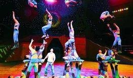 娱乐吃瓜君表演杂技,惊险杂技秀，带你领略非凡技艺