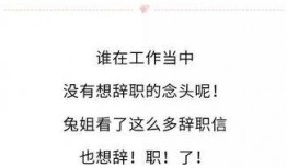 娱乐吃瓜酱辞职信,揭秘背后原因与行业影响