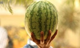 娱乐大瓜在线吃,娱乐大瓜在线吃，明星幕后故事大公开