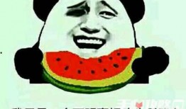 娱乐圈吃瓜的梗叫什么,揭秘那些年我们追过的“吃瓜”大事件