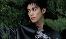 娱乐圈吃瓜爆料王鹤棣刘亦菲