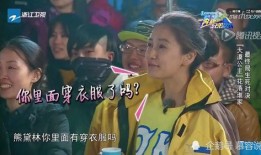 娱乐圈综艺节目吃瓜小说