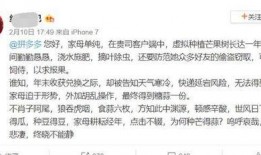 娱乐吃瓜酱文言文,古风趣味谈