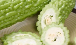 娱乐吃瓜酱讲腋窝饭团,腋窝饭团背后的趣味故事