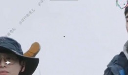 娱乐吃瓜报道文章素材视频,吃瓜群众视角下的幕后故事