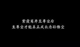 娱乐吃瓜酱伤感语录