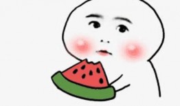 娱乐吃瓜酱骂人视频下载,网络暴力与言论自由的边界