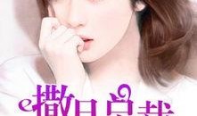 娱乐吃瓜酱妻子小说,妻子背后的秘密风云