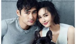 娱乐圈吃瓜爆料网剧有哪些