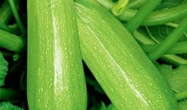 娱乐圈吃瓜三个孩子是谁,揭秘明星家庭背后的温馨故事