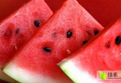 娱乐吃瓜菌的视频怎么拍,视频拍摄幕后技巧大公开